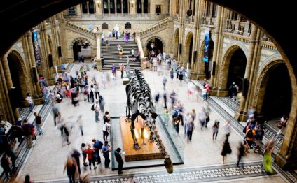 Fourth Plinth Schools Award