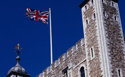 Fox ate two Tower of London