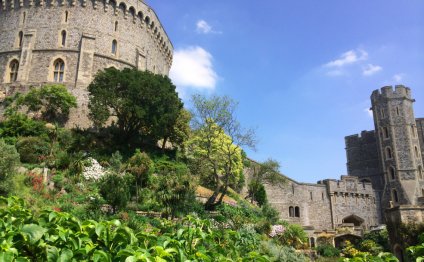 Windsor castle