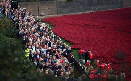 Tower of London poppy crowds