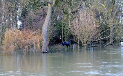 Water levels: A statue of a