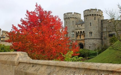 Windsor Castle – UK