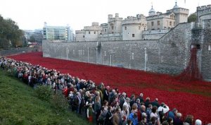 Crowds solemnly file past the installation