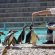 London Zoos