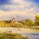 Windsor Castle paintings