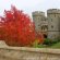 Windsor Castle website