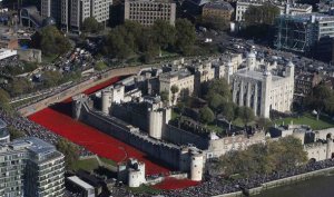 Million have flocked to view the stunning display