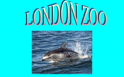 Facts about London Zoo
