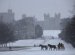 Windsor Castle Christmas