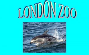 Facts about London Zoo