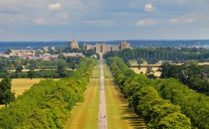 Trains to Windsor