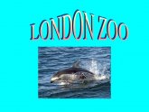 Facts about London Zoo