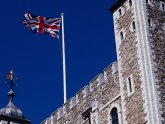 Ravens and the Tower of London