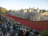 Tower of London moat