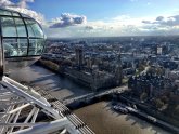 Viator London Eye