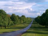 Windsor Castle Long Walk