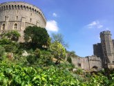 Windsor Castle visiting times