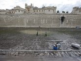 Www.tower of London