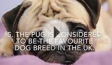 10 fun facts about Britain
