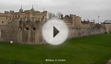 ,246 Poppies in the Moat at Tower of London - 3 Days in
