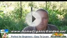 Interesting Facts and Information About Organic Gardening
