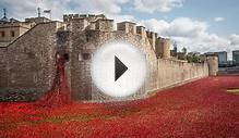 Poppy memorial time-lapse at Tower of London from dawn to dusk