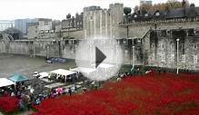 Time-lapse shows Tower of London poppies being removed