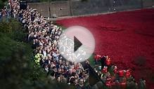 Tower of London poppy crowds ignore half-term Tube woes