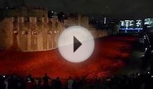 Tower of London Poppy Tribute at Night, Remembrance Day