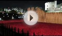 We visit Tower of London Poppies at Night