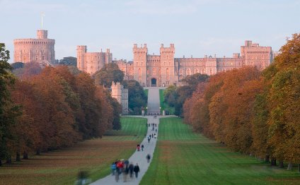 Castle of Windsor
